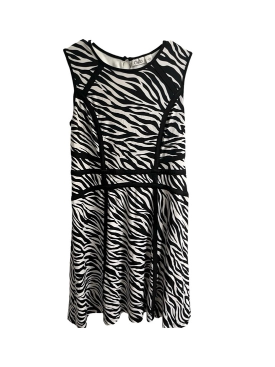 Cato Dresses & Skirts - Cato Zebra Print Casual Mini Dress